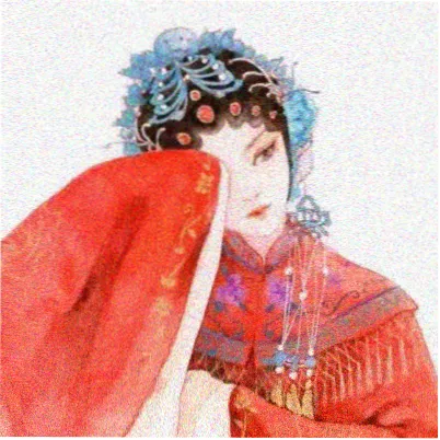 读者阿柚头像